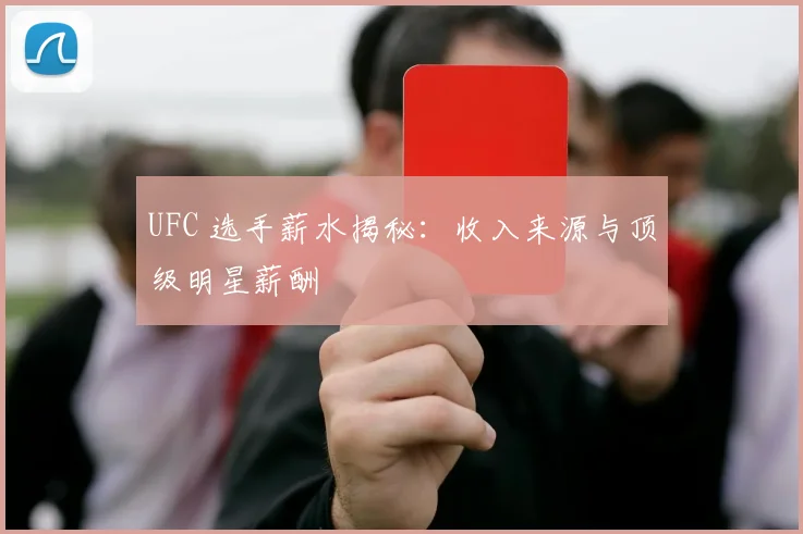 UFC 选手薪水揭秘：收入来源与顶级明星薪酬